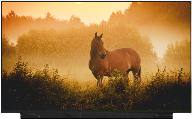 尺寸Size(inch):15.6解 析 度 Resolution: 1920*1080 界面支持Interface: EDP1.4(40pin)外 型 尺 寸 Outline(mm): 350.66(H)*205.25(V)*2.45(D)显示区尺寸Active Area(mm): 344.16(H)*193.59(V)亮度Brightness(nits): 300TYP刷新频率Refresh Rate: 144HZ72% (NTSC) or 95% (sRGB)TP: Option